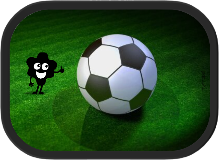 Competitief lexicon kapok Een perfect voetbalfeestje | MyMepal